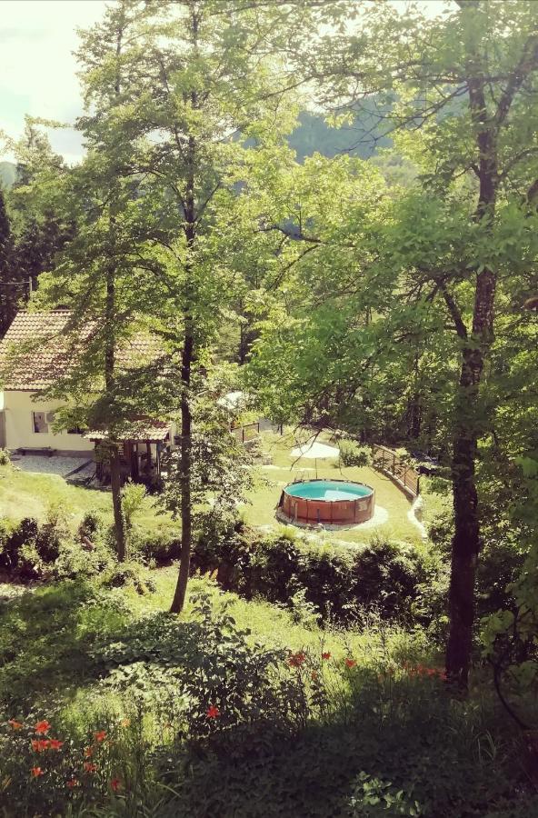 Naturalina Holiday House Gorenja Trebusa Exteriér fotografie